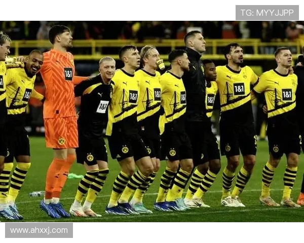 杭州排球队以66分领跑世界杯积分榜展现强大实力与团队合作精神