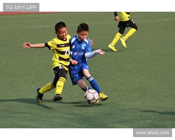 杭州极限运动队比赛经验深度对比与分析探讨