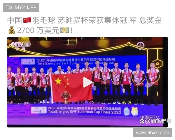 深圳羽毛球队的拼搏历程与冠军赛背后的故事揭秘